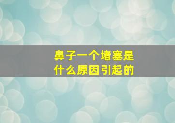 鼻子一个堵塞是什么原因引起的