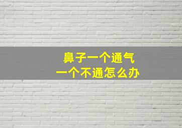 鼻子一个通气一个不通怎么办