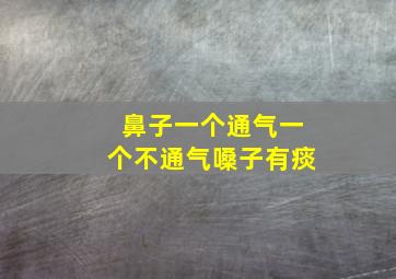 鼻子一个通气一个不通气嗓子有痰