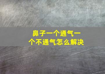 鼻子一个通气一个不通气怎么解决