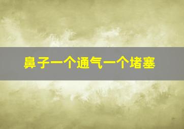 鼻子一个通气一个堵塞