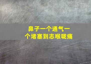 鼻子一个通气一个堵塞到志喉咙痛