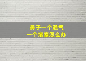 鼻子一个通气一个堵塞怎么办