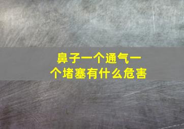 鼻子一个通气一个堵塞有什么危害