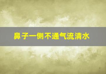 鼻子一侧不通气流清水