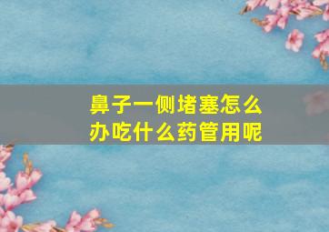 鼻子一侧堵塞怎么办吃什么药管用呢