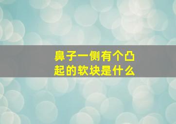 鼻子一侧有个凸起的软块是什么