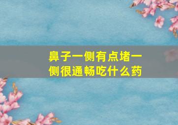 鼻子一侧有点堵一侧很通畅吃什么药