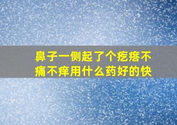 鼻子一侧起了个疙瘩不痛不痒用什么药好的快