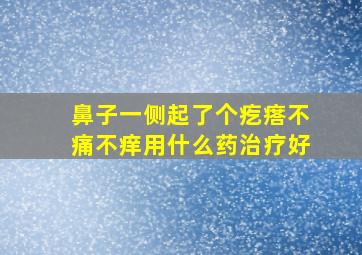 鼻子一侧起了个疙瘩不痛不痒用什么药治疗好