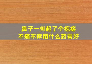 鼻子一侧起了个疙瘩不痛不痒用什么药膏好