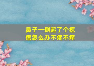 鼻子一侧起了个疙瘩怎么办不疼不痒