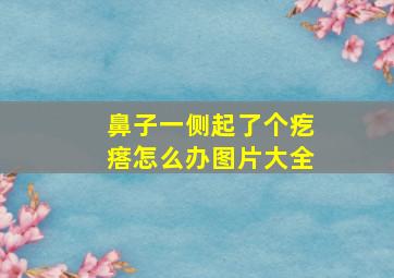 鼻子一侧起了个疙瘩怎么办图片大全