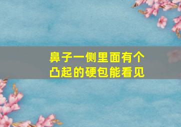 鼻子一侧里面有个凸起的硬包能看见