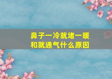 鼻子一冷就堵一暖和就通气什么原因