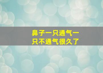 鼻子一只通气一只不通气很久了