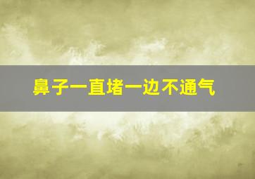 鼻子一直堵一边不通气