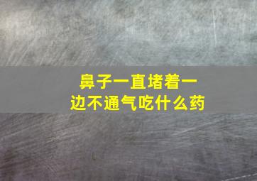 鼻子一直堵着一边不通气吃什么药