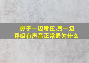 鼻子一边堵住,另一边呼吸有声音正常吗为什么