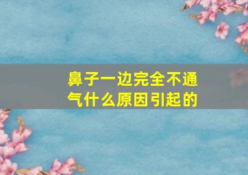 鼻子一边完全不通气什么原因引起的