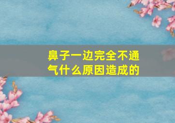 鼻子一边完全不通气什么原因造成的