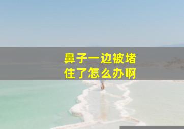 鼻子一边被堵住了怎么办啊