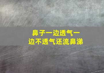 鼻子一边透气一边不透气还流鼻涕