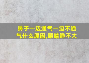 鼻子一边通气一边不通气什么原因,眼睛睁不大