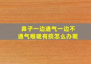 鼻子一边通气一边不通气喉咙有痰怎么办呢