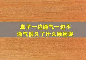 鼻子一边通气一边不通气很久了什么原因呢