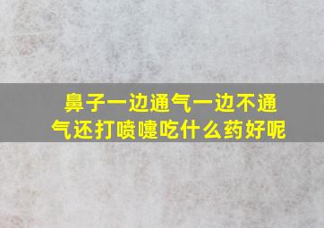 鼻子一边通气一边不通气还打喷嚏吃什么药好呢