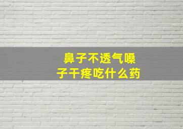 鼻子不透气嗓子干疼吃什么药