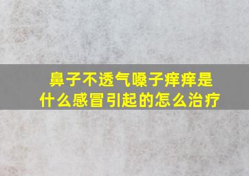 鼻子不透气嗓子痒痒是什么感冒引起的怎么治疗