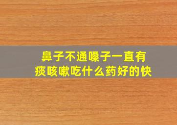 鼻子不通嗓子一直有痰咳嗽吃什么药好的快