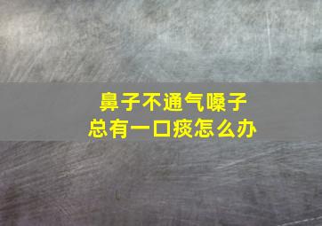 鼻子不通气嗓子总有一口痰怎么办