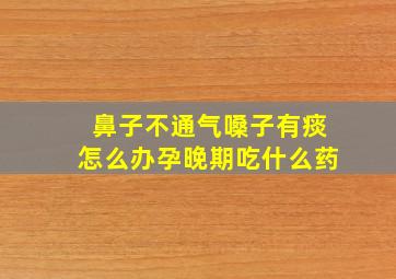 鼻子不通气嗓子有痰怎么办孕晚期吃什么药