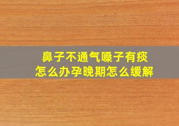 鼻子不通气嗓子有痰怎么办孕晚期怎么缓解