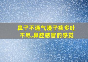 鼻子不通气嗓子痰多吐不尽,鼻腔感冒的感觉