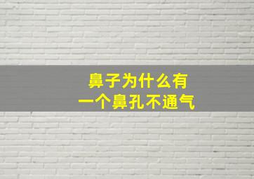 鼻子为什么有一个鼻孔不通气