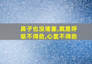 鼻子也没堵塞,就是呼吸不得劲,心里不得劲