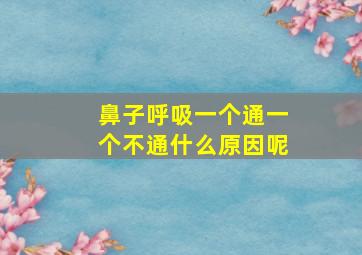 鼻子呼吸一个通一个不通什么原因呢