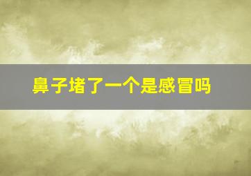 鼻子堵了一个是感冒吗