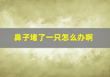 鼻子堵了一只怎么办啊