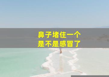 鼻子堵住一个是不是感冒了