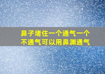 鼻子堵住一个通气一个不通气可以用鼻渊通气