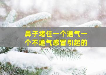 鼻子堵住一个通气一个不通气感冒引起的