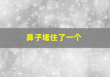 鼻子堵住了一个