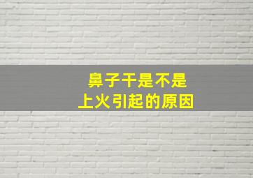 鼻子干是不是上火引起的原因