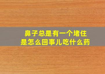 鼻子总是有一个堵住是怎么回事儿吃什么药