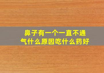 鼻子有一个一直不通气什么原因吃什么药好